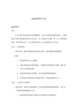 yolov5量化方法.docx