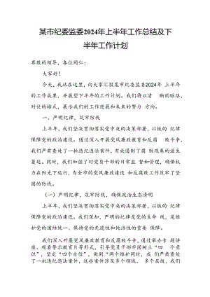 某市纪委监委2024年上半年工作总结及下半年工作计划.docx