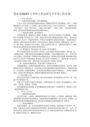 党总支2024年上半年工作总结与下半年工作计划.docx
