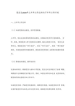 党总支2024年上半年工作总结与下半年工作计划.docx