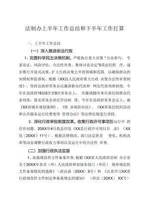 法制办半年工作总结.docx