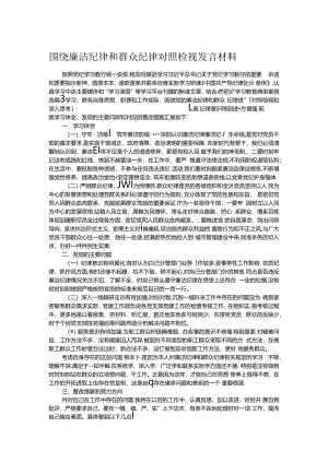 围绕廉洁纪律和群众纪律对照检视发言材料.docx