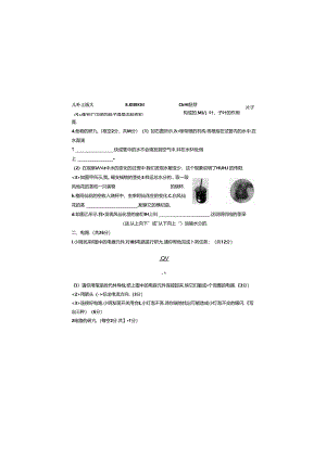 教科版四年级下册科学实验探究题专项练习卷.docx