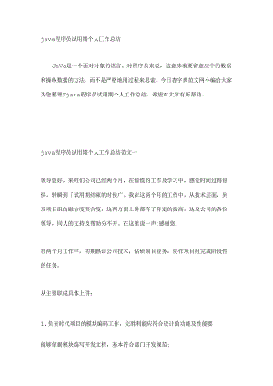 java程序员试用期个人工作总结.docx