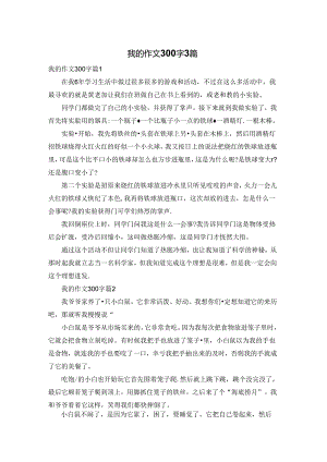我的作文300字3篇.docx