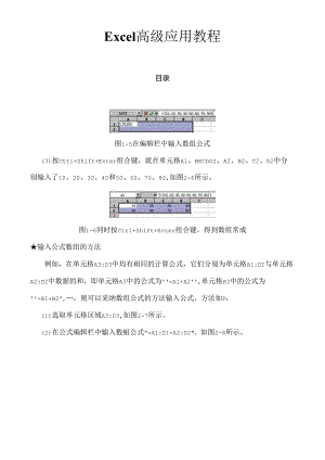 excel高级教程高级应用.docx