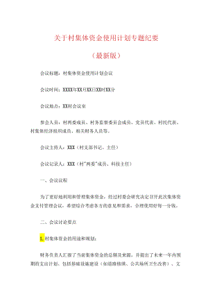 关于村集体资金使用计划专题纪要（最新版）.docx