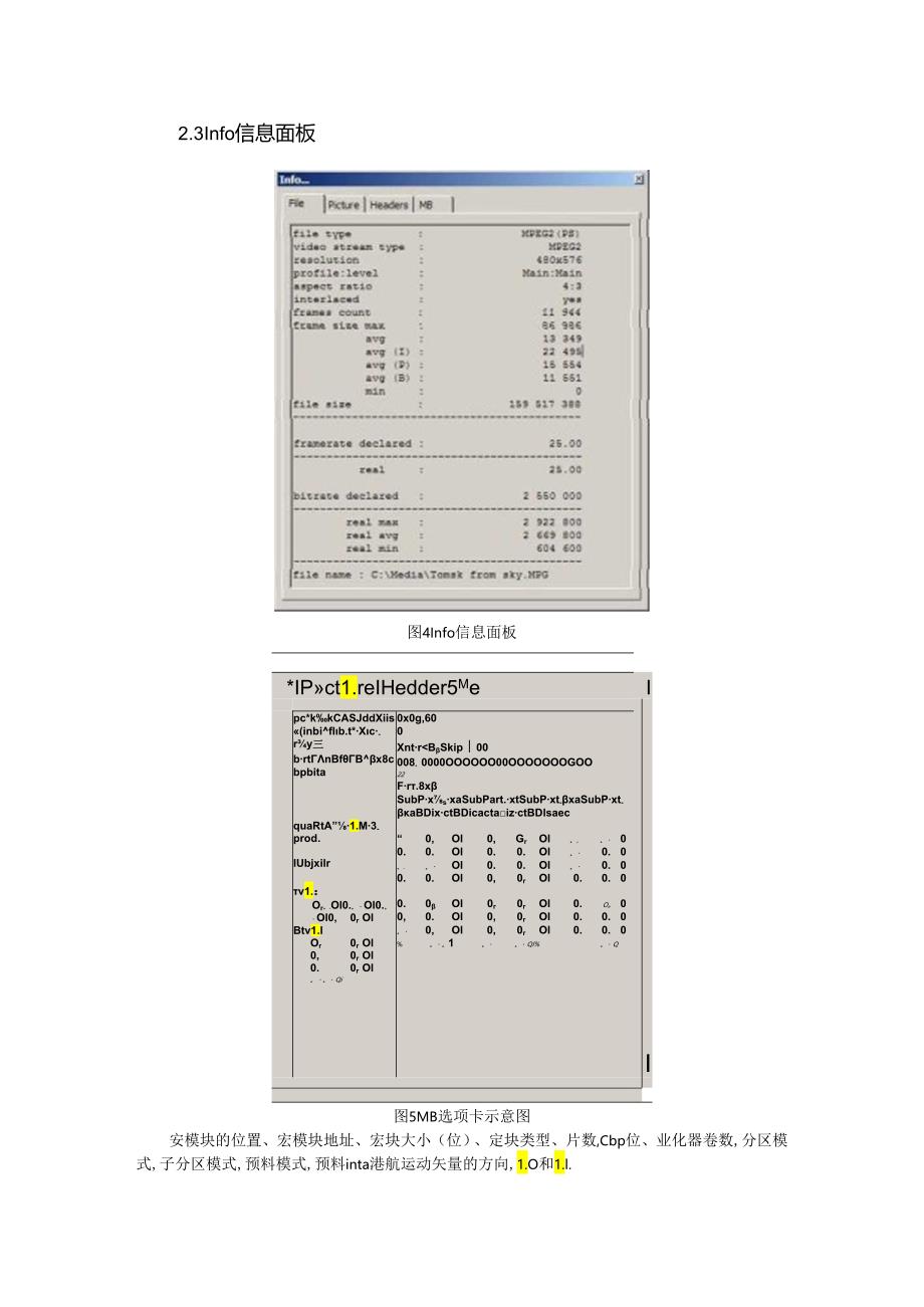 Elecard-StreamEye-UG.docx_第3页