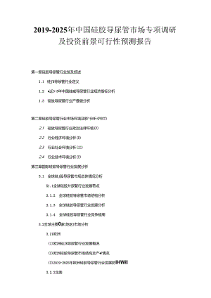2019-2025年中国硅胶导尿管市场专项调研及投资前景可行性预测报告.docx