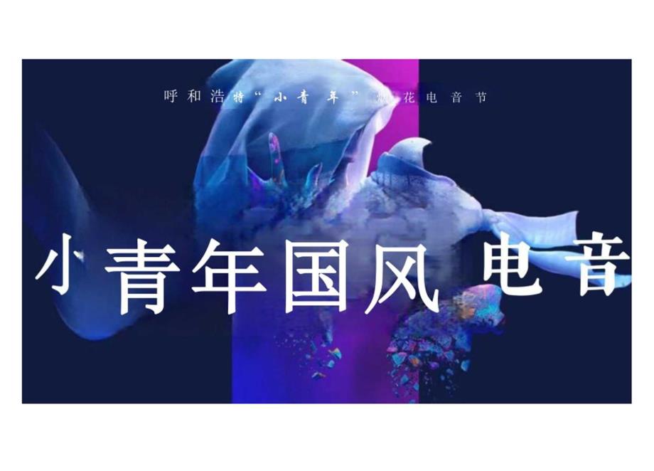 活动策划 2024小青年国风电音节（呼和浩特）.docx_第1页