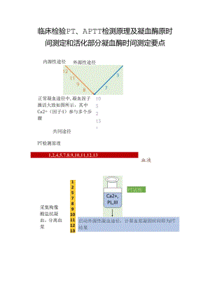 临床检验PT、APTT检测原理及凝血酶原时间测定和活化部分凝血酶时间测定要点.docx