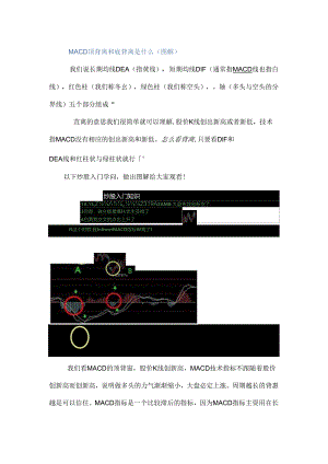 MACD顶背离和底背离是什么图解.docx