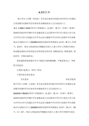 6.3报告单.docx