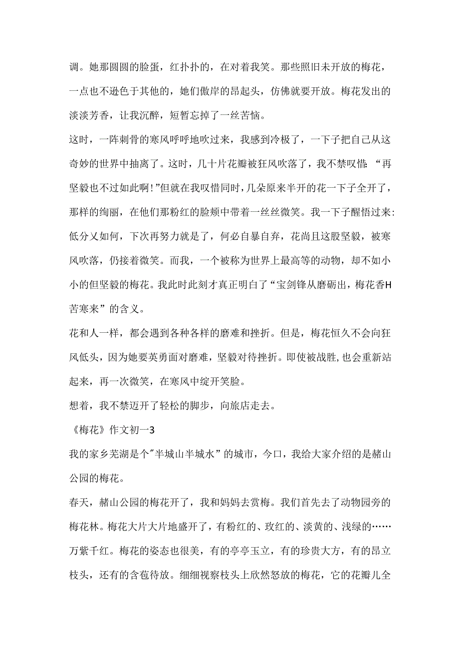 《梅花》作文初一大全.docx_第3页
