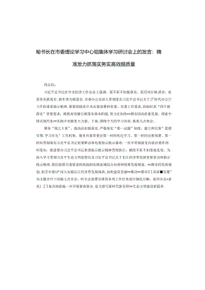 秘书长在市委理论学习中心组集体学习研讨会上的发言：精准发力抓落实 务实高效提质量.docx