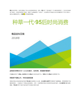 95后时尚消费报告约14电商用户为95后.docx