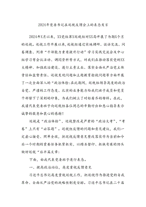 2024年党委书记在巡视反馈会上的表态发言.docx