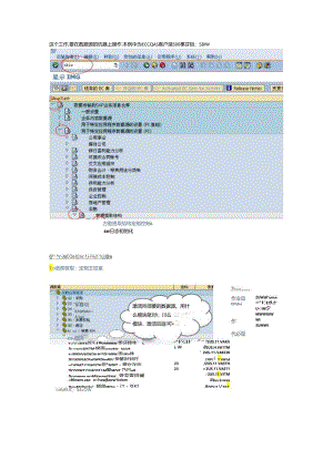 BW后勤模块中抓取业务数据前初始化的过程.docx