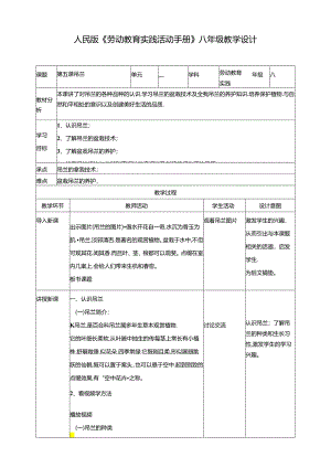 人民版综合实践活动劳动与技术八上 2.2《吊兰》教案.docx