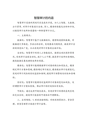智慧审计的内涵.docx
