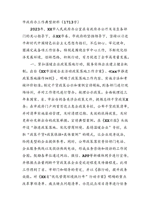 市政府办工作典型材料.docx