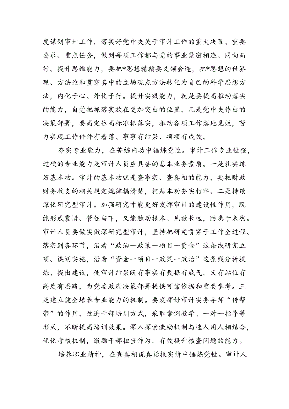 审计学习中心组研讨发言.docx_第2页
