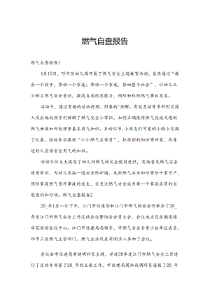 燃气自查报告.docx