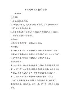 《捅马蜂窝》教学指南.docx