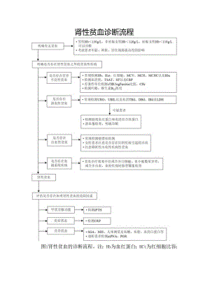 肾性贫血诊断流程.docx
