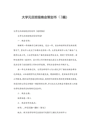 大学元旦班级晚会策划书（3篇）.docx