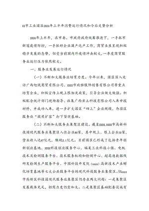XX市工业园区2024年上半年消费运行情况和今后走势分析.docx