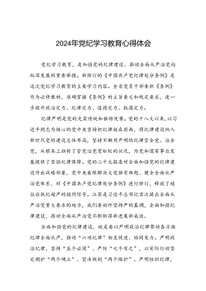 2024年党纪学习教育六项纪律研讨发言材料二十四篇.docx