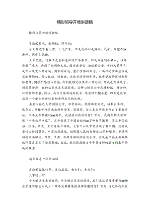 精彩领导开场讲话稿.docx