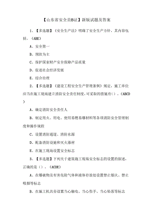 【山东省安全员B证】新版试.docx