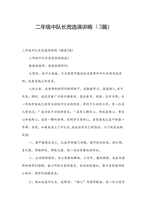 二年级中队长竞选演讲稿（3篇）.docx