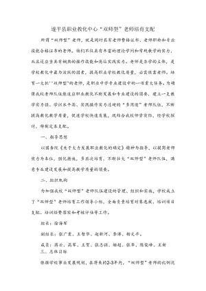 “双师型”教师培养计划.docx