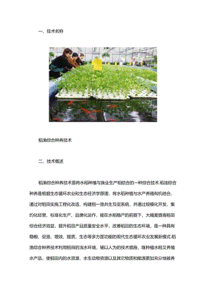 稻渔综合种养技术.docx