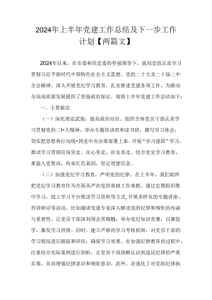 2024年上半年党建工作总结及下一步工作计划【两篇文】.docx