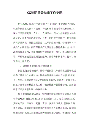 XX年团县委党建工作计划.docx