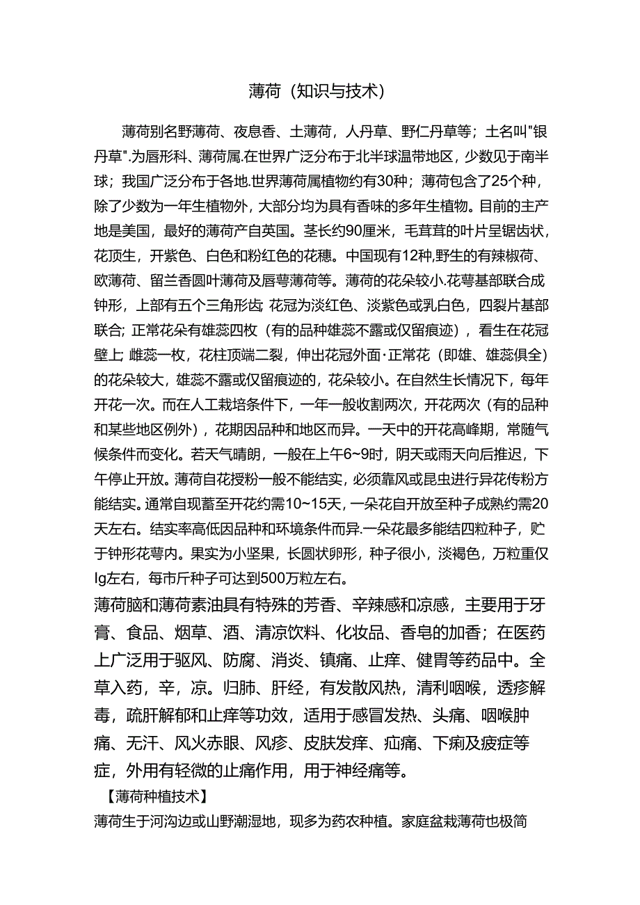 薄荷（知识与技术）.docx_第1页