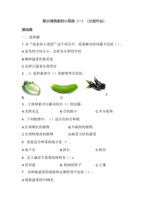 第20课 我家的小菜园（一）同步分层作业 科学四年级下册（冀人版）.docx