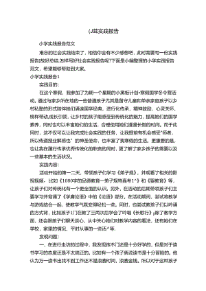 小学实践报告.docx
