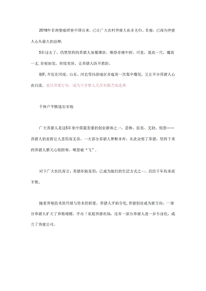 2024年养猪这10条建议一定要看.docx