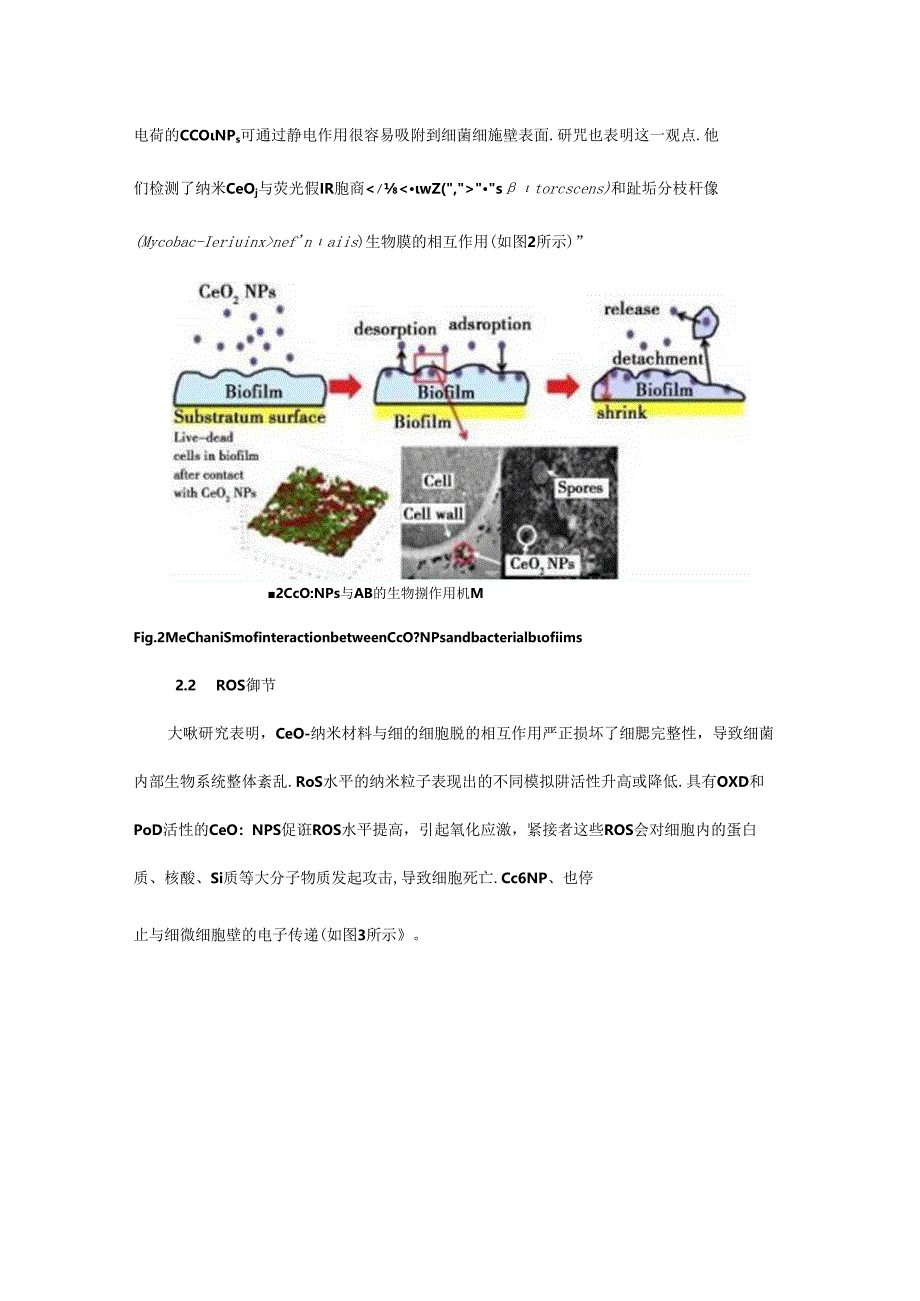 CeO2纳米酶活性与抗菌性能研究进展.docx_第3页