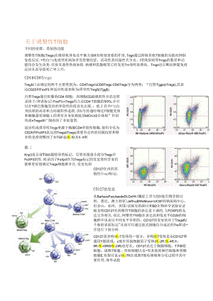BD调节性T细胞.docx