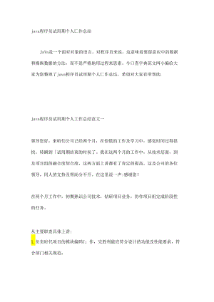 java程序员试用期个人工作总结.docx