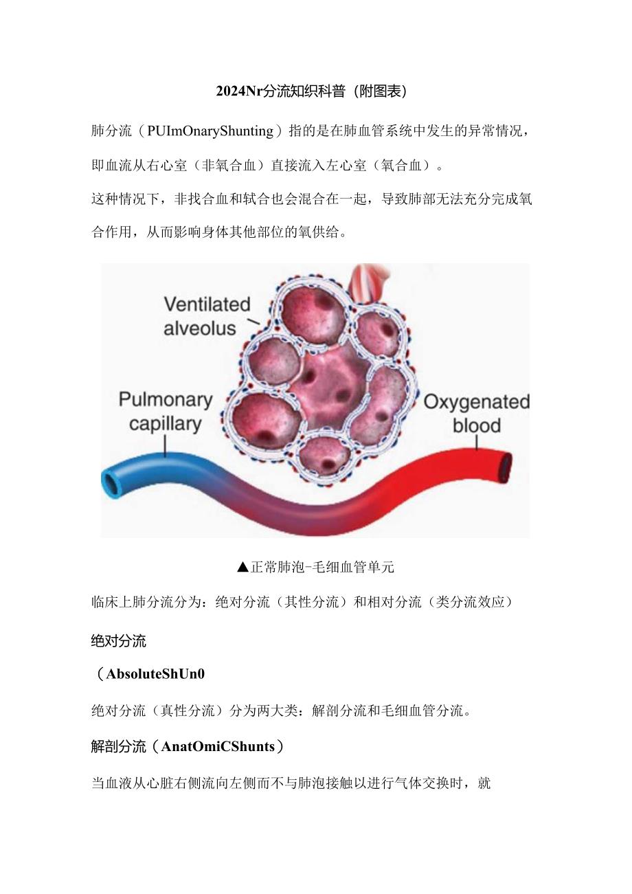 2024肺分流知识科普(附图表).docx_第1页