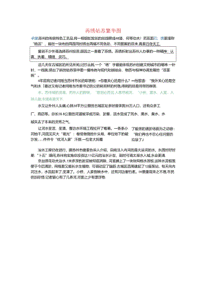 信息技术基础（第2版）案例素材 文本5-4 《再绣姑苏繁华图》文档编辑-效果.docx