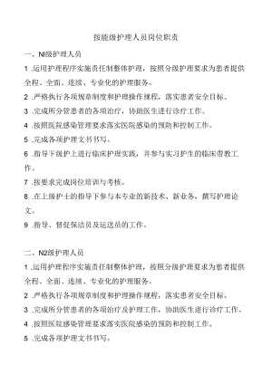 按能级护理人员岗位职责.docx