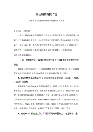 HSE体系建设汇报.docx